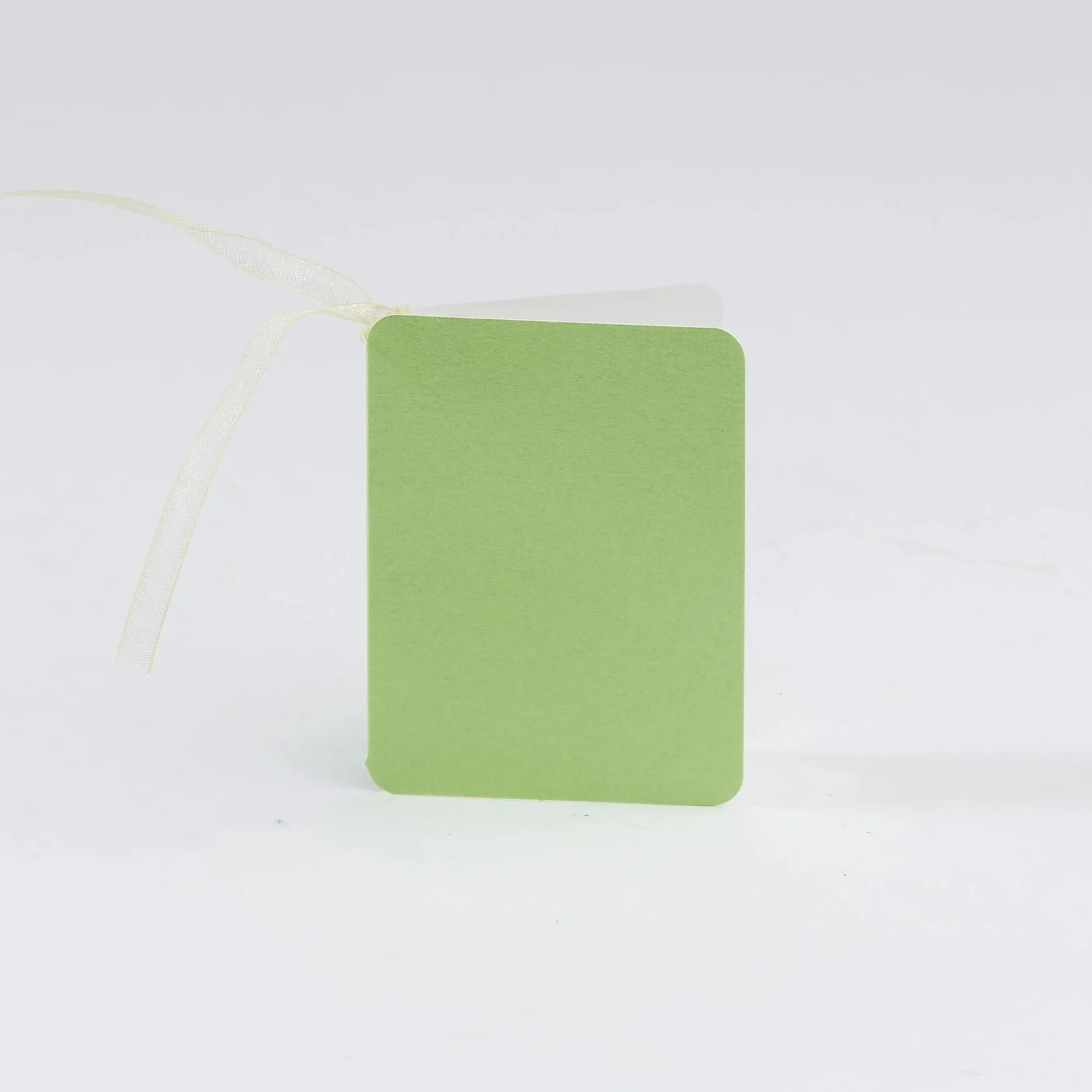 Luxury Pearl Sea Green Gift Tags (25)