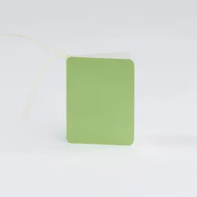 Luxury Pearl Sea Green Gift Tags (25)